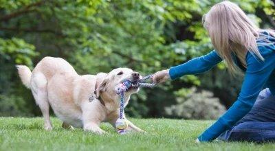 Gifts For Dog Lovers