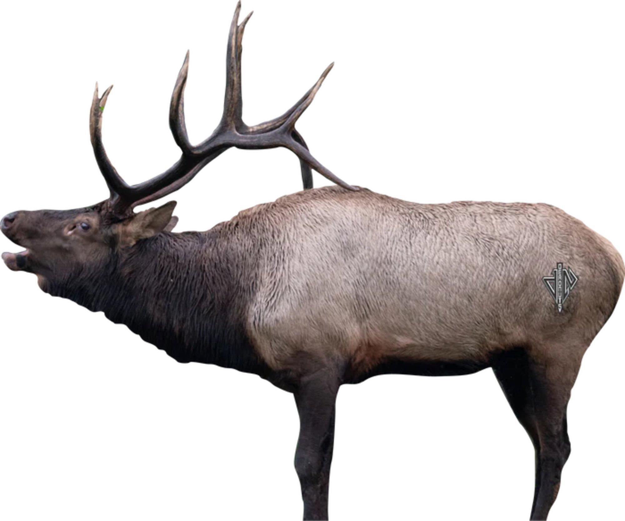 Deadnuts Outdoors 2D Broadside Bull Elk Target - Deadnuts Outdoors
