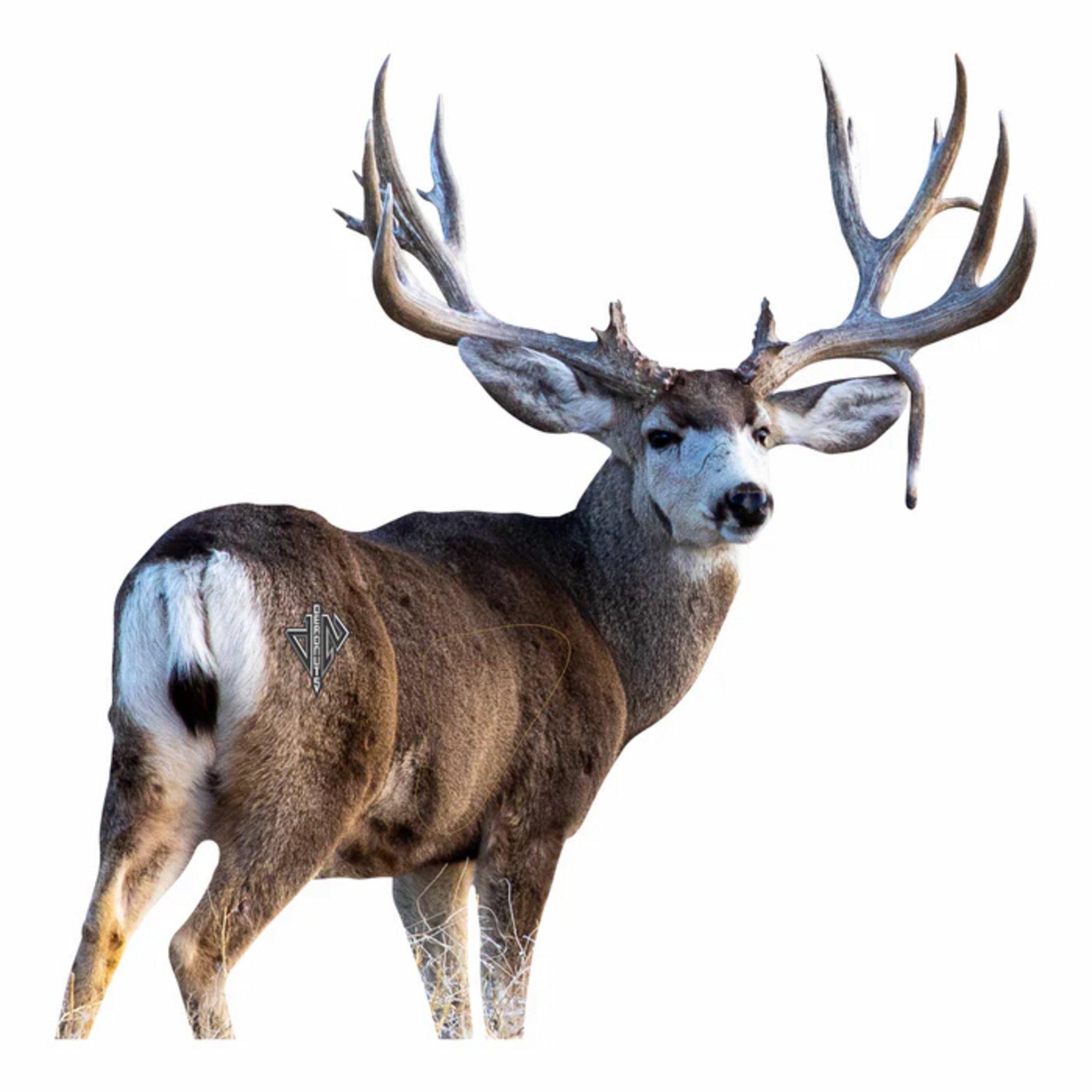Deadnuts Outdoors 2D Quartering Away Mule Deer Target - Deadnuts Outdoors