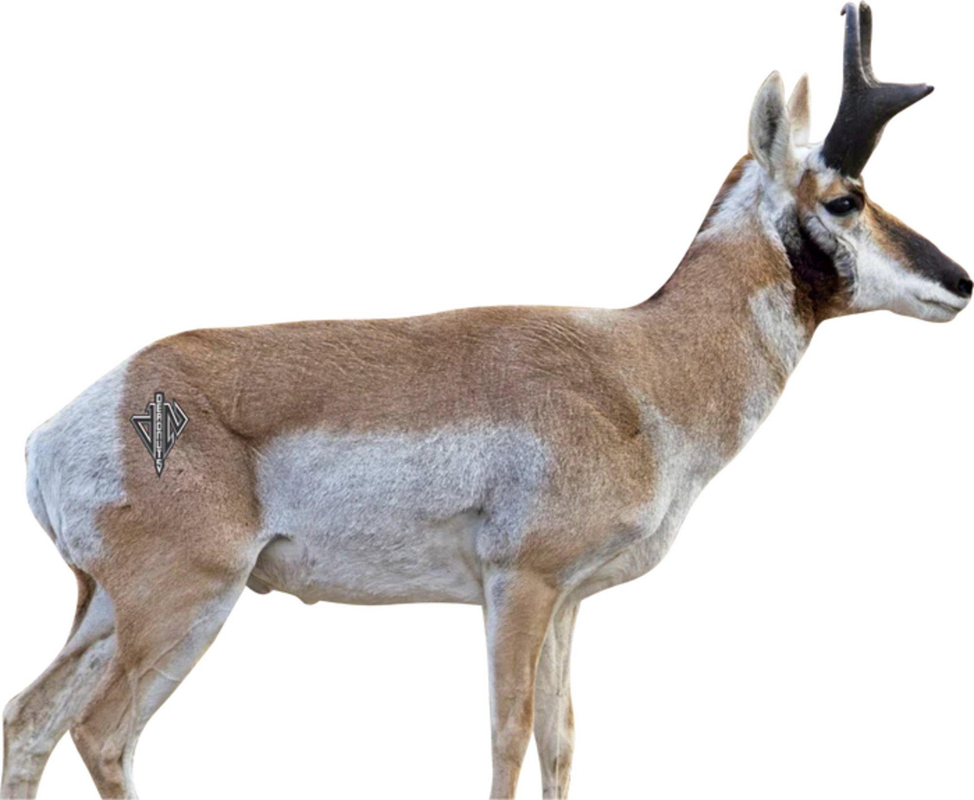 Deadnuts Outdoors 2D Broadside Pronghorn Target - Deadnuts Outdoors