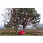 Hilleberg Niak 2-Person Backpacking Tent - Thumbnail 3 of 6