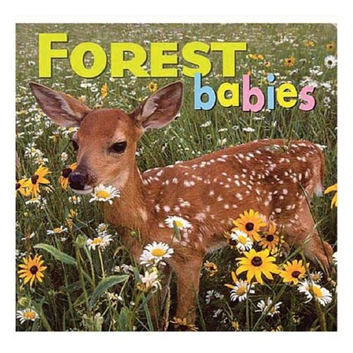 Liberty Mountain - Forest Babies Book - Primary Image