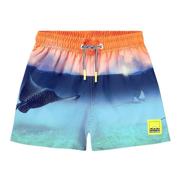 Toddler Boys' Molo Niko Swim Trunks
