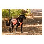 Bay Dog Saranac Dog Backpack - Thumbnail 4 of 4