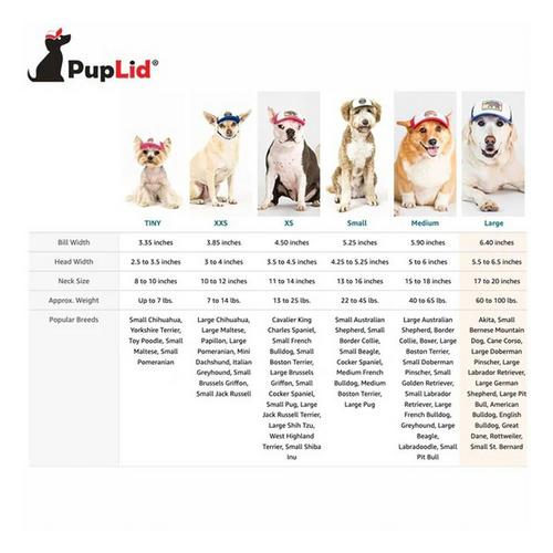 PupLid Trucker Dog Hat - Primary Image