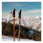 Grass Sticks Original Ski Poles - Thumbnail 5 of 8