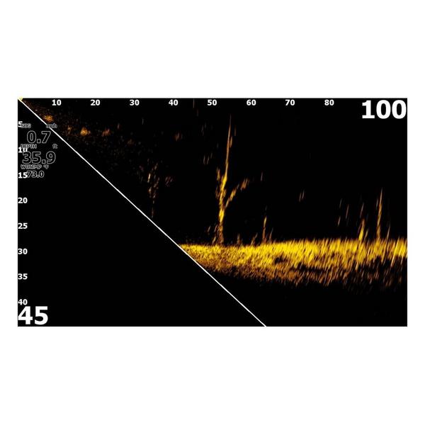 Lowrance Eagle Eye 9 Fish Finder with Live Sonar Transducer