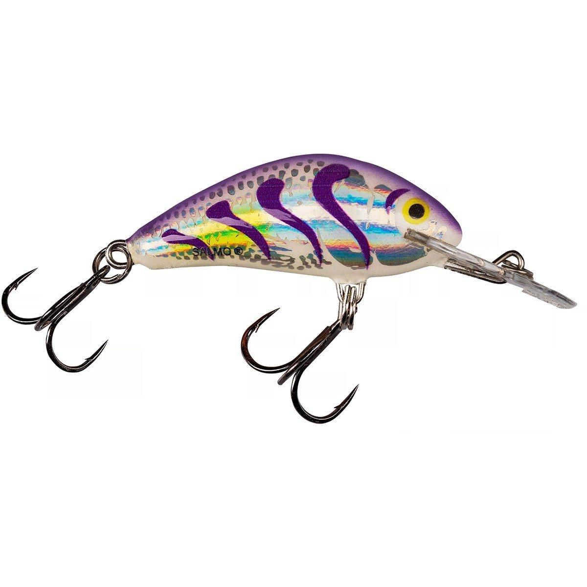 33913::Holographic Purple Tiger - Salmo Hornet Floating Crankbait