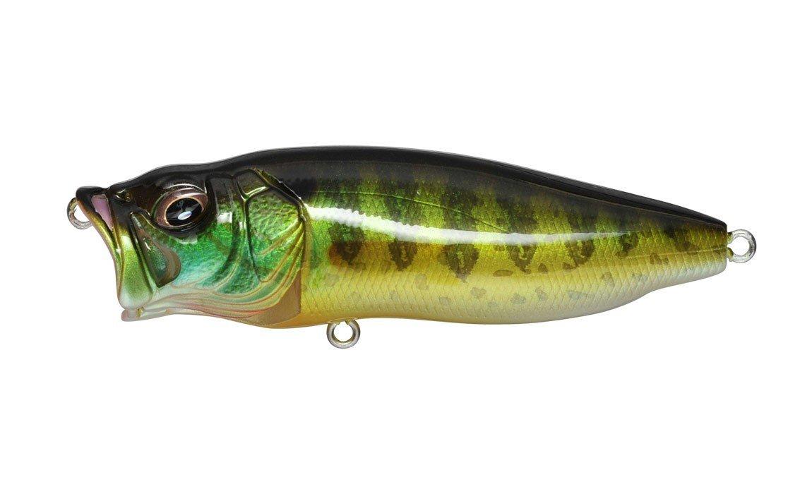Pumpkin Seed - Megabass PopMax