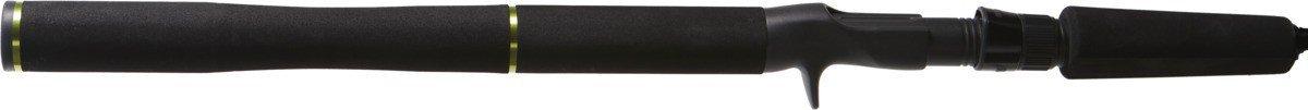 Scheels Outfitters Crazy Cat Casting Rod