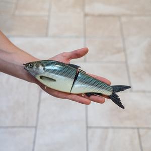Trainwreck - Green Leaf Lures Imposter Glidebait