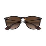 Ray-Ban Erika Classic Sunglasses - Thumbnail 5 of 9