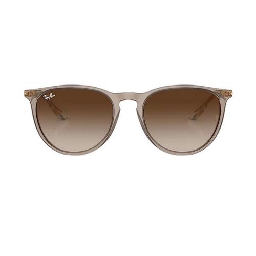 Ray-Ban Erika Classic Sunglasses - Primary Image