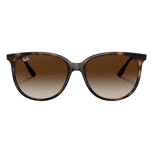 Ray-Ban RB4378 Sunglasses - Primary Image