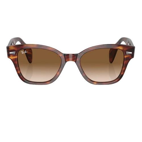 Ray-Ban RB880 Sunglasses - Primary Image