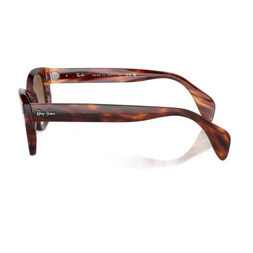 Ray-Ban RB880 Sunglasses - Primary Image