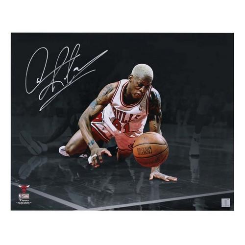 Fanatics Authentic Chicago Bulls Dennis Rodman Autographed 16" x 20" Spotlight Photograph - Primary Image