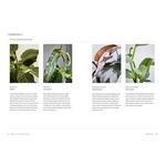 Hachette Book Group Terrain The Houseplant Book - Thumbnail 2 of 5