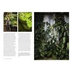 Hachette Book Group Terrain The Houseplant Book - Thumbnail 3 of 5