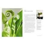 Hachette Book Group Terrain The Houseplant Book - Thumbnail 4 of 5