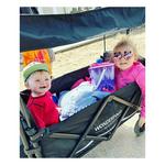 Wonderfold X2 Push & Pull Stroller Wagon - Thumbnail 4 of 9