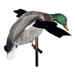 Lucky Duck XHDI Decoy - Thumbnail 2 of 4