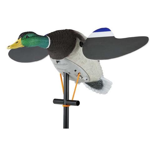 Lucky Duck Lucky Junior II 6V - Primary Image