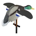 Lucky Duck Lucky Junior II 6V - Thumbnail 2 of 3