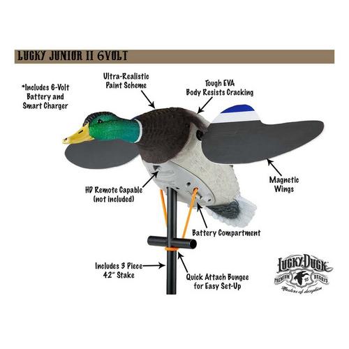 Lucky Duck Lucky Junior II 6V - Primary Image