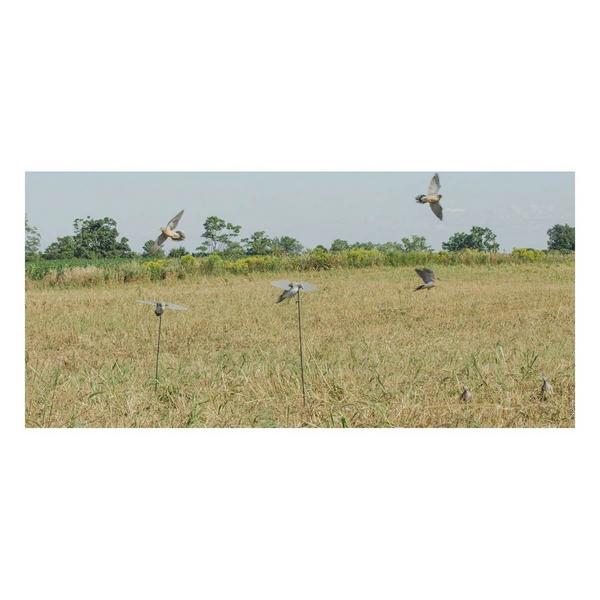 Lucky Duck HD Dove Decoy