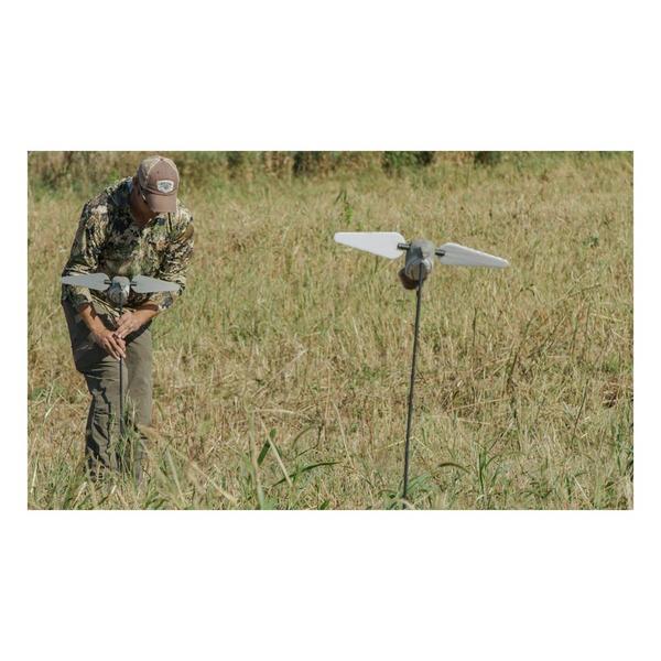 Lucky Duck HD Dove Decoy