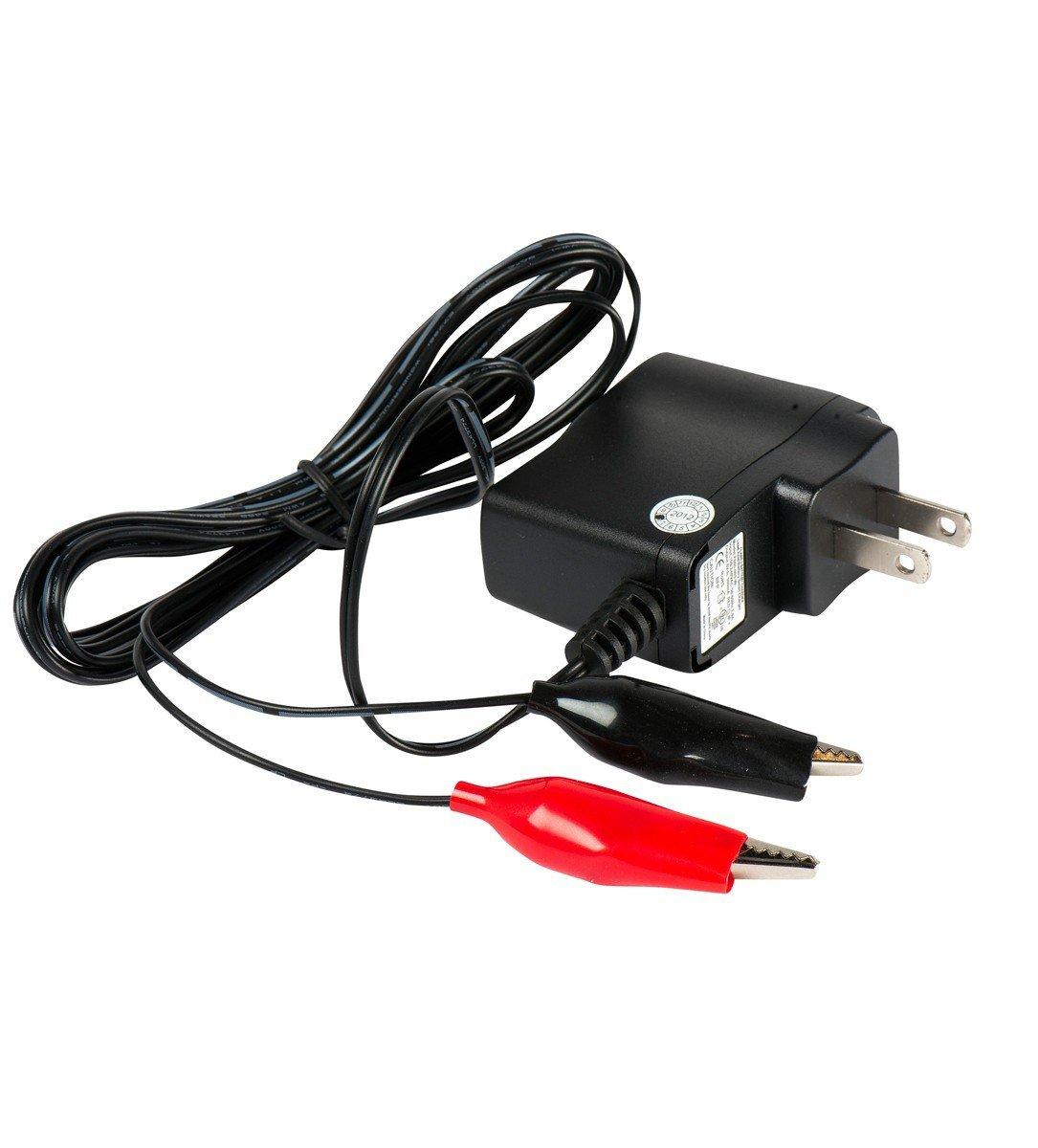 Lucky Duck 6 Volt AC Charger - Lucky Duck