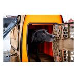 Lucky Duck Dog Kennel - Thumbnail 7 of 7