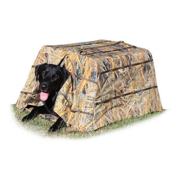 Beavertail Dog Blind