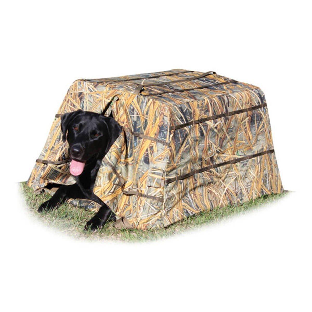 Beavertail Dog Blind - Beavertail