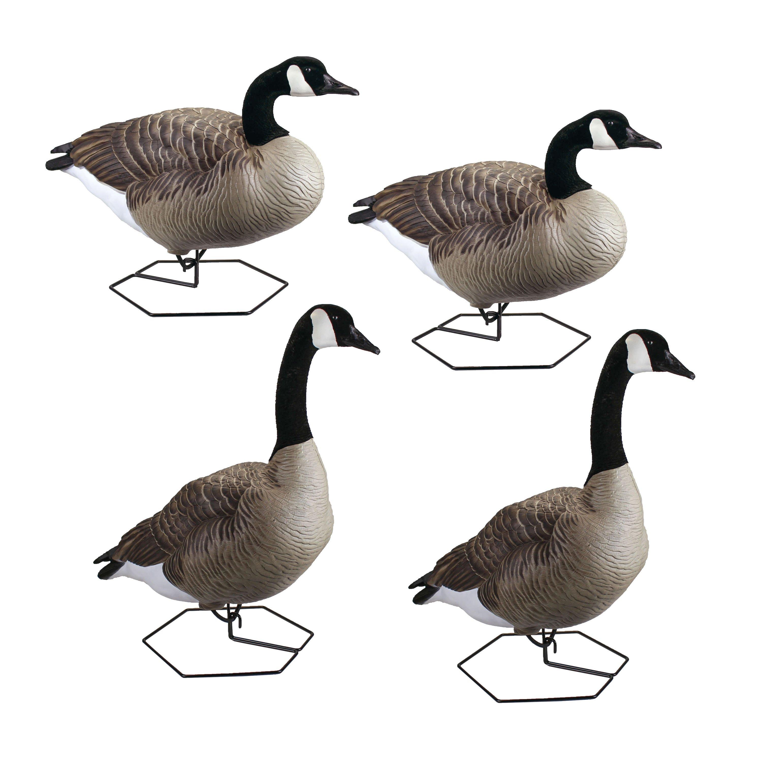 DOA Decoys Dominator Series Full Body Active Goose Decoys - 4 Pack - DOA Decoys