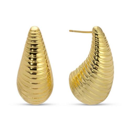 Splendid Iris Trending Teardrop Stud Earrings - Primary Image