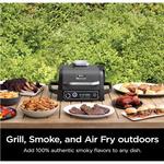 Ninja Woodfire 7-in-1 Outdoor Grill & Smoker - Thumbnail 2 of 11
