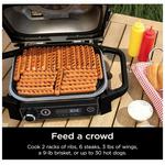 Ninja Woodfire 7-in-1 Outdoor Grill & Smoker - Thumbnail 5 of 11
