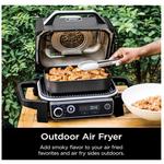 Ninja Woodfire 7-in-1 Outdoor Grill & Smoker - Thumbnail 9 of 11
