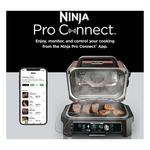 Ninja Woodfire Pro Grill Smoker - Thumbnail 4 of 4