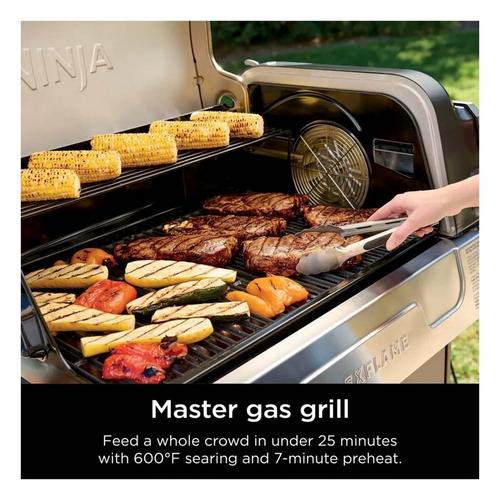 フラーレン　ニャー子　s Ninja FlexFlame Propane Grill & Outdoor Cooking System | SCHEELS.com