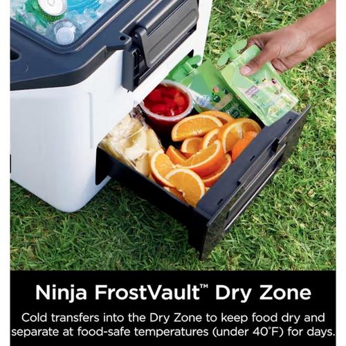 Ninja FrostVault 30qt Hard Coole With Cold Dry Zone - Primary Image