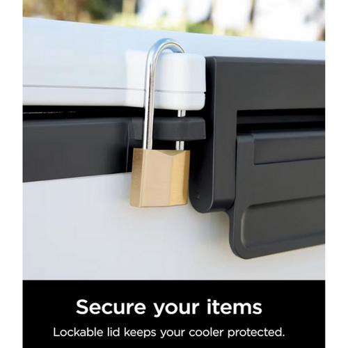 Ninja FrostVault 30qt Hard Coole With Cold Dry Zone - Primary Image