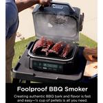 Ninja Woodfire Outdoor Grill & Smoker - Thumbnail 5 of 10