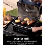 Ninja Woodfire Outdoor Grill & Smoker - Thumbnail 6 of 10