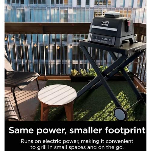 Ninja Woodfire Outdoor Grill & Smoker - Primary Image