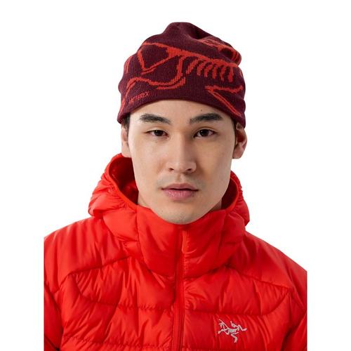 Arc'teryx Bird Head Toque Beanie - Primary Image