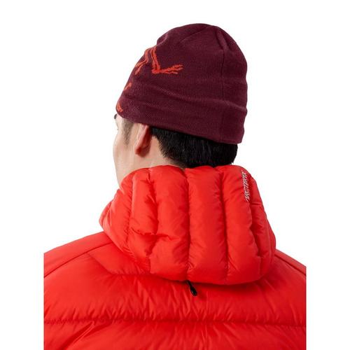 Arc'teryx Bird Head Toque Beanie - Primary Image