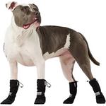Canada Pooch Soft Shield Boots - Thumbnail 3 of 3